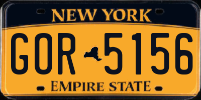 NY license plate GOR5156