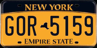 NY license plate GOR5159