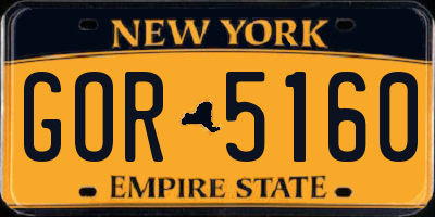 NY license plate GOR5160