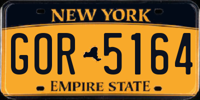 NY license plate GOR5164