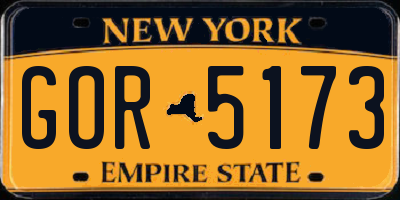 NY license plate GOR5173