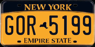 NY license plate GOR5199