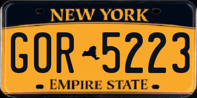 NY license plate GOR5223