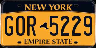 NY license plate GOR5229