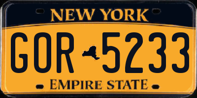 NY license plate GOR5233