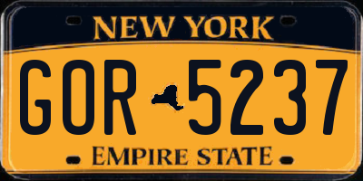 NY license plate GOR5237