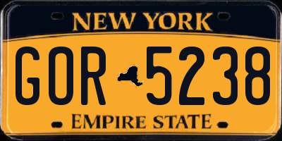NY license plate GOR5238