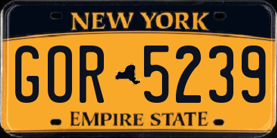 NY license plate GOR5239