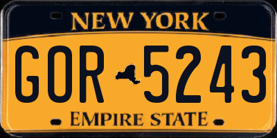 NY license plate GOR5243