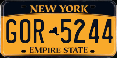 NY license plate GOR5244