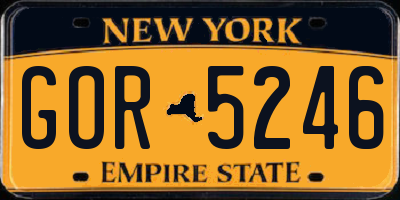 NY license plate GOR5246