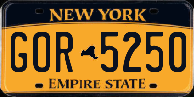 NY license plate GOR5250