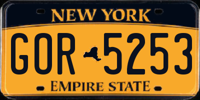 NY license plate GOR5253