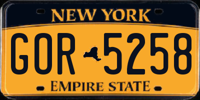 NY license plate GOR5258