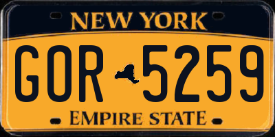 NY license plate GOR5259