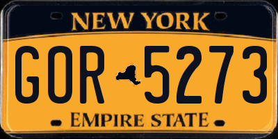 NY license plate GOR5273