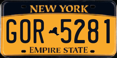 NY license plate GOR5281