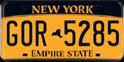 NY license plate GOR5285