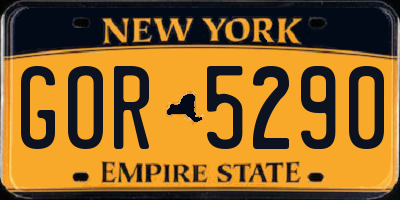 NY license plate GOR5290