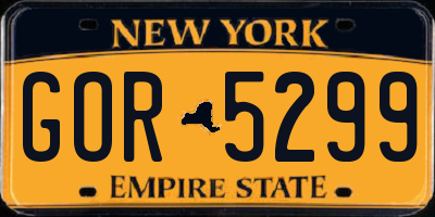 NY license plate GOR5299