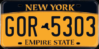 NY license plate GOR5303
