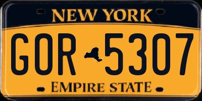 NY license plate GOR5307
