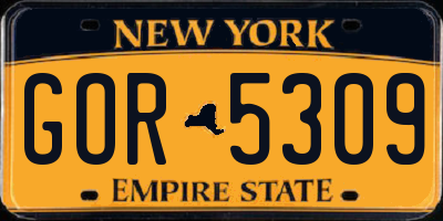 NY license plate GOR5309