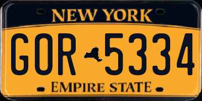 NY license plate GOR5334