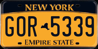 NY license plate GOR5339