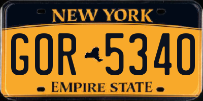 NY license plate GOR5340