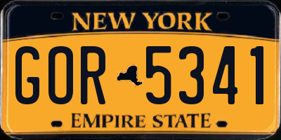 NY license plate GOR5341