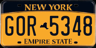 NY license plate GOR5348