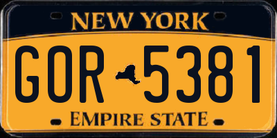 NY license plate GOR5381