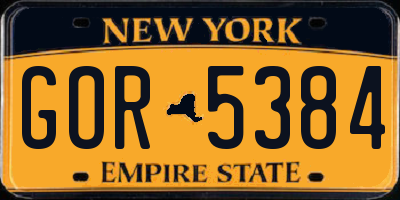 NY license plate GOR5384