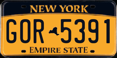 NY license plate GOR5391