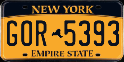 NY license plate GOR5393