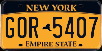 NY license plate GOR5407