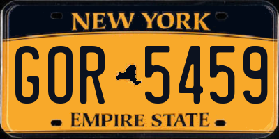 NY license plate GOR5459