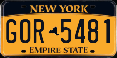 NY license plate GOR5481