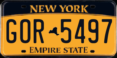 NY license plate GOR5497