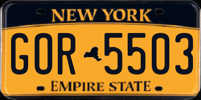 NY license plate GOR5503