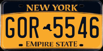 NY license plate GOR5546