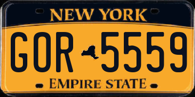 NY license plate GOR5559