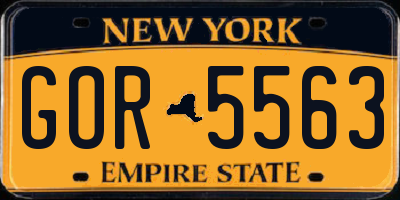 NY license plate GOR5563