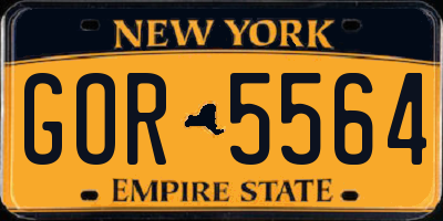 NY license plate GOR5564