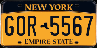NY license plate GOR5567
