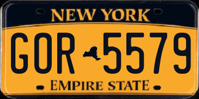NY license plate GOR5579
