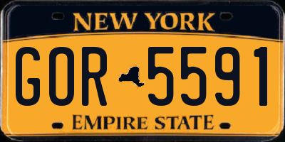 NY license plate GOR5591