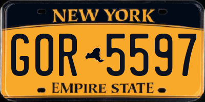 NY license plate GOR5597