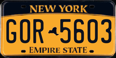 NY license plate GOR5603